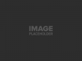 pojo-placeholder-4